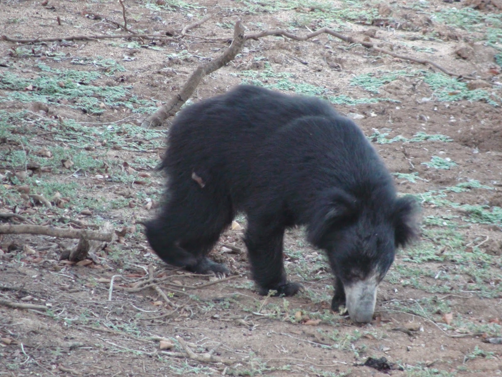 WILPATTU NATIONAL PARK